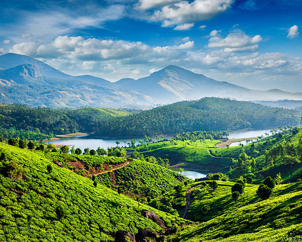Munnar, Guruvayur, Alleppey, Trivandrum, Kanyakumari, Thiruchendur, Rameswaram  7 Days Tour Package