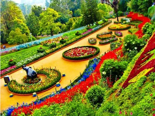 Ooty, Coonoor, Mettupalyam 4 Days Tour Package