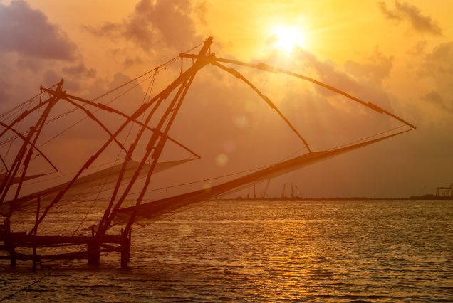 Munnar, Cochin 3 Days Tour Package(COK001)