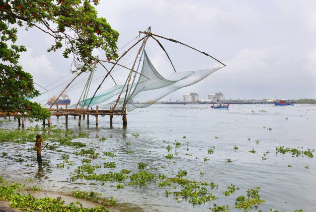Thekkady, Vagamon, Alleppey, Cochin 5days Tour Package