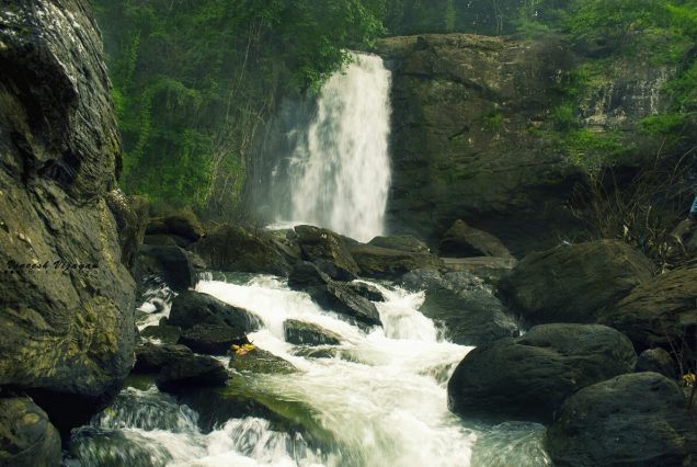 Mysore - Wayanad 5 days Tour Package