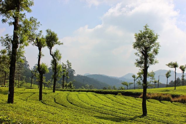 Cochin, Munnar, Alleppey 7 Days Train Package from Hyderabad