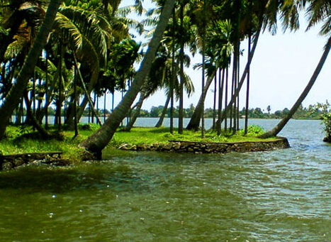 Kumarakom-Cochin 3 Days Tour Package(COK006)