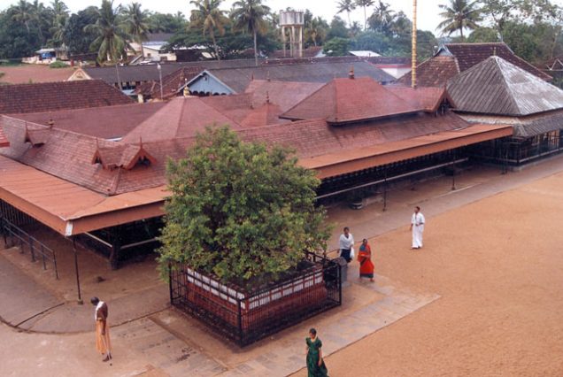 Munnar, Guruvayur, Alleppey, Cochin 5 Days Tour Package